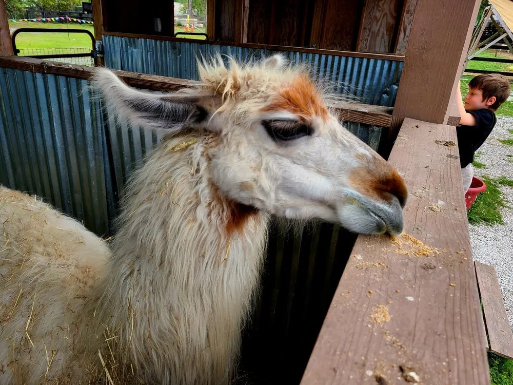 Custom yard maintenance for homes in Largo, FL by Dk Landscaping and Nursery