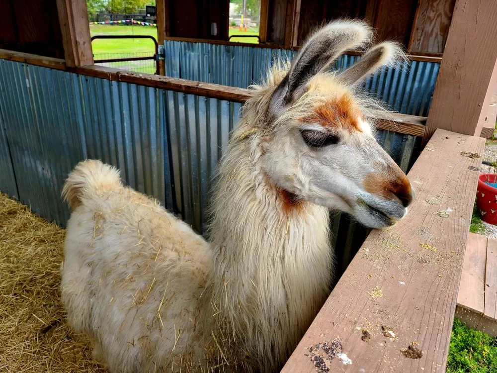 Affordable lawn mowing service for beautiful yards in Largo, FL by Dk Landscaping and Nursery