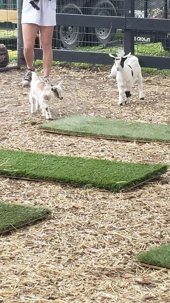 Expert garden landscaping for residential properties across Largo, FL - Dk Landscaping and Nursery