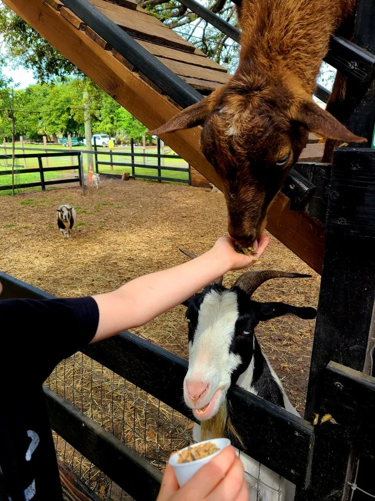 Reliable garden landscaping with custom design in Largo, FL by Dk Landscaping and Nursery