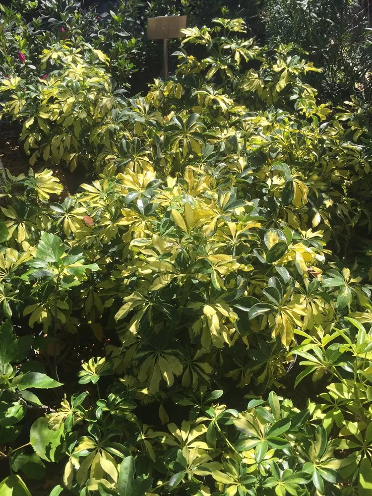 Reliable residential landscaping in Largo, FL - Dk Landscaping and Nursery