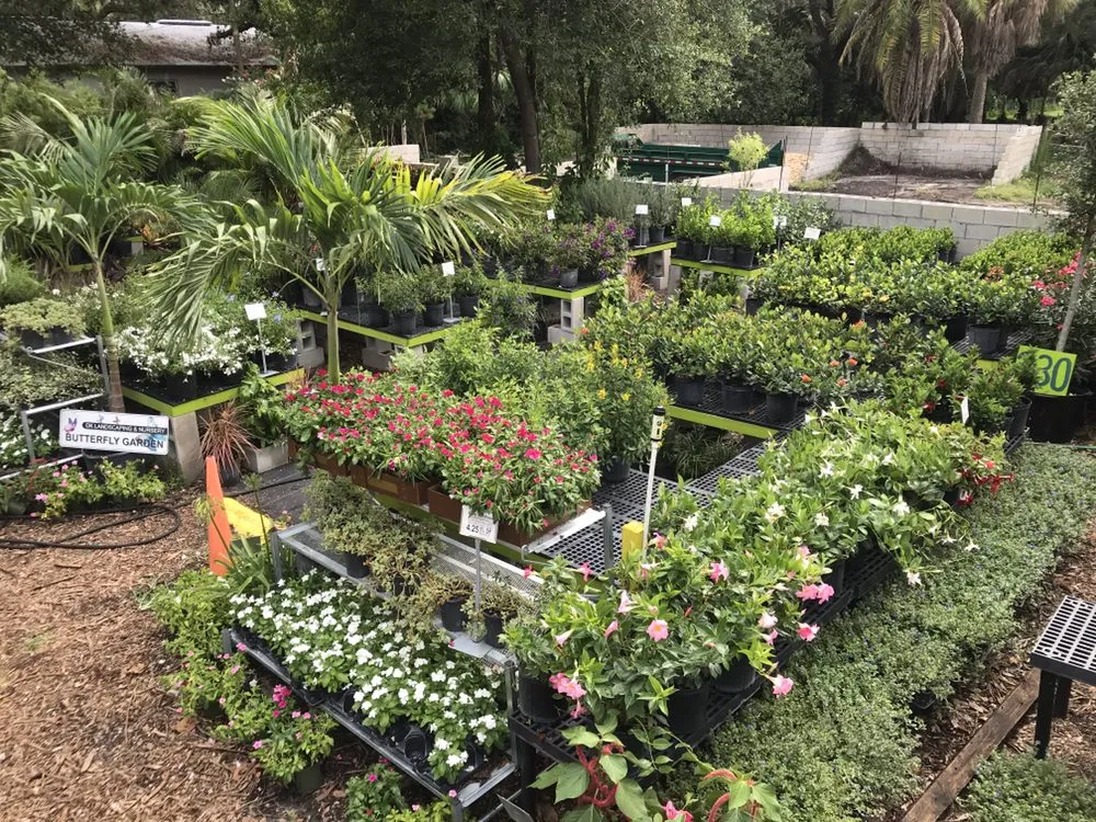 Trusted lawn care service in Largo, FL by Dk Landscaping and Nursery