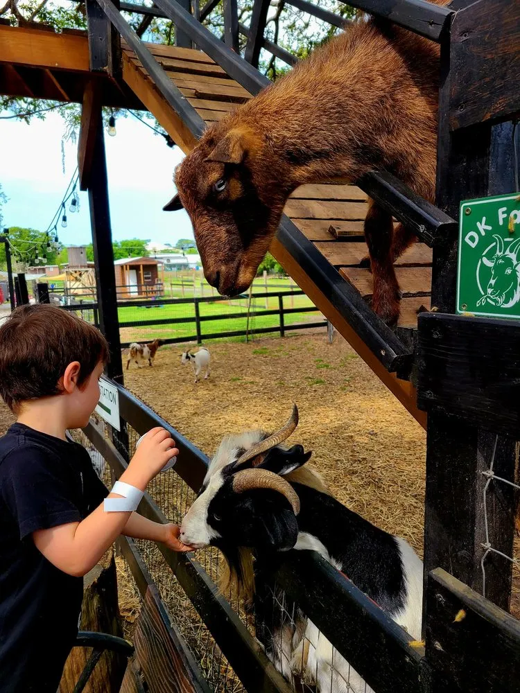 Trusted residential landscaping for residential properties in Largo, FL by Dk Landscaping and Nursery