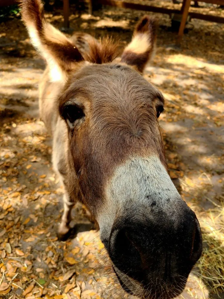 Expert garden landscaping experts serving Largo, FL - Dk Landscaping and Nursery