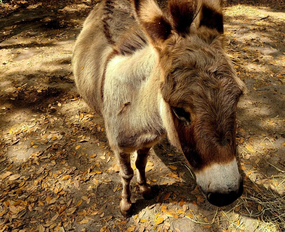 Trusted landscape design near you across Largo, FL - Dk Landscaping and Nursery