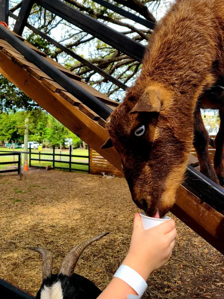 Professional lawn care service for residential properties across Largo, FL - Dk Landscaping and Nursery