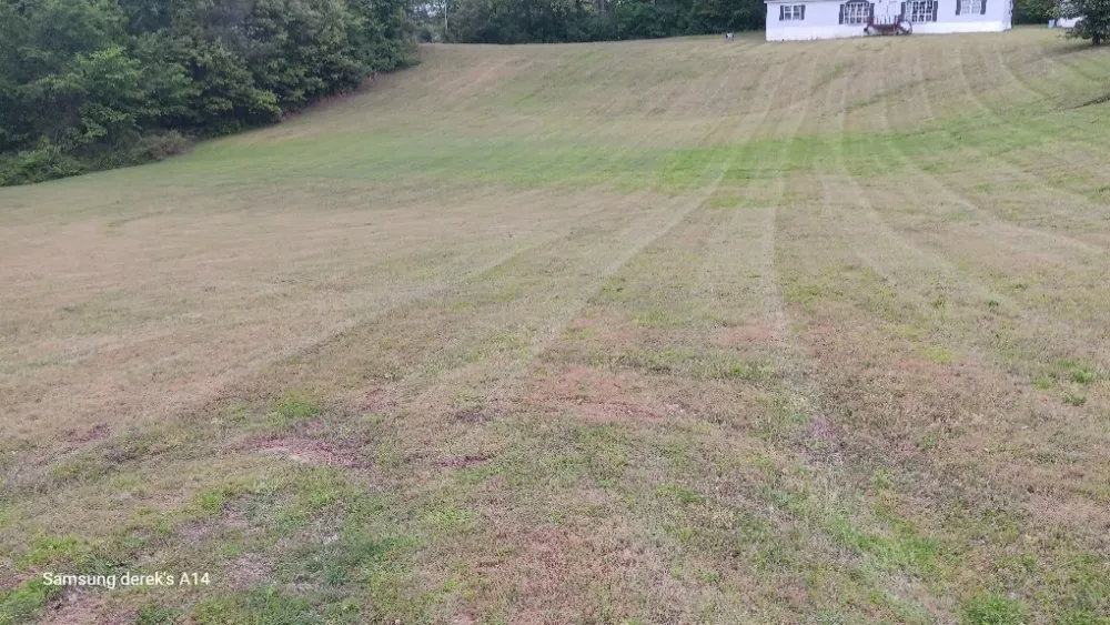 Reliable yard cleanup service in Atoka, TN - D/K Landscaping