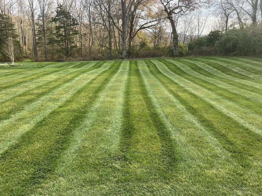 Affordable landscaping services in Hackettstown, NJ - D&K Landscaping