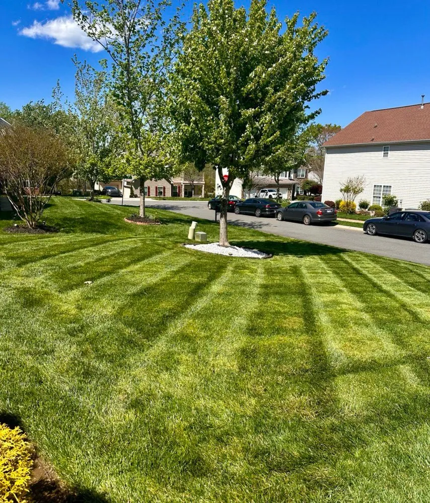 Affordable outdoor landscaping near you across Monroe, NC - DK Landscaping