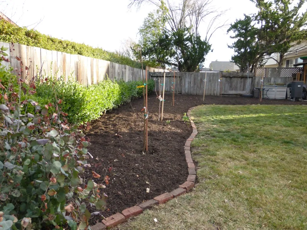 Affordable landscape installation near you in Rohnert Park, CA by DK Landscaping