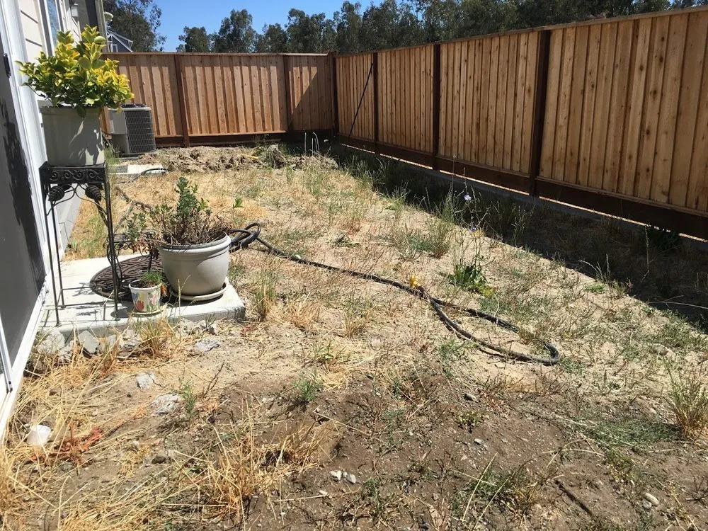 Affordable lawn care service for beautiful yards in Rohnert Park, CA by DK Landscaping