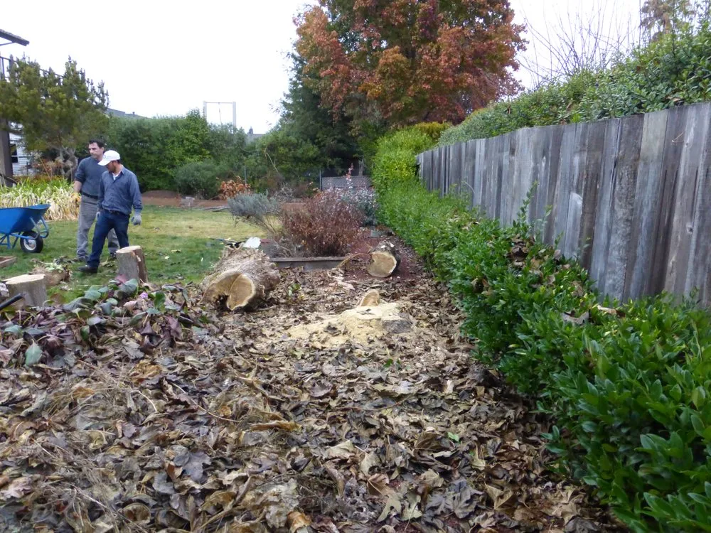 Trusted landscaping services in Rohnert Park, CA by DK Landscaping