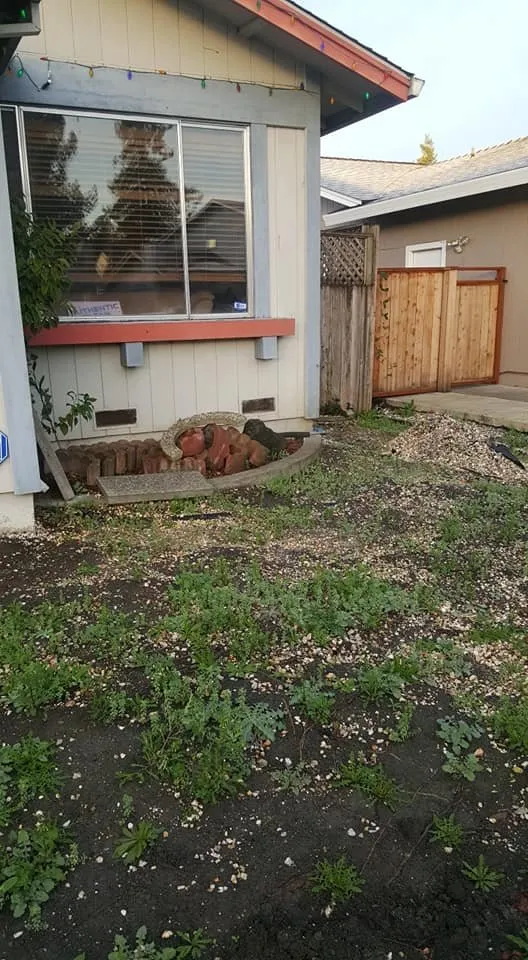 Local garden landscaping in Rohnert Park, CA by DK Landscaping