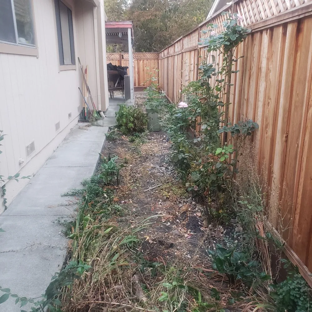 Expert landscape design near you across Rohnert Park, CA - DK Landscaping