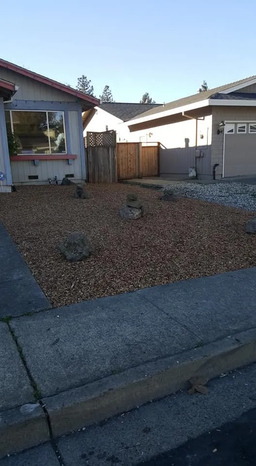 Reliable landscape installation experts serving Rohnert Park, CA - DK Landscaping
