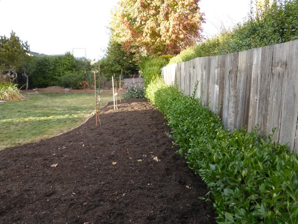 Top-rated yard cleanup service experts serving Rohnert Park, CA - DK Landscaping