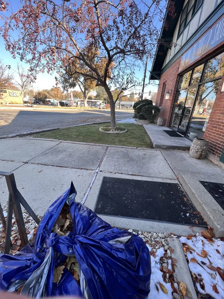 Professional lawn care service experts serving Meridian, ID - DK Lawn Detailing