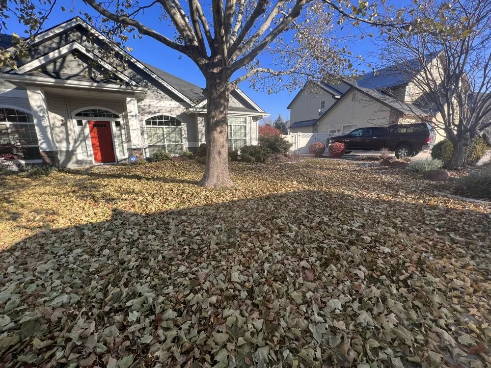 Top-rated outdoor landscaping in Meridian, ID by DK Lawn Detailing