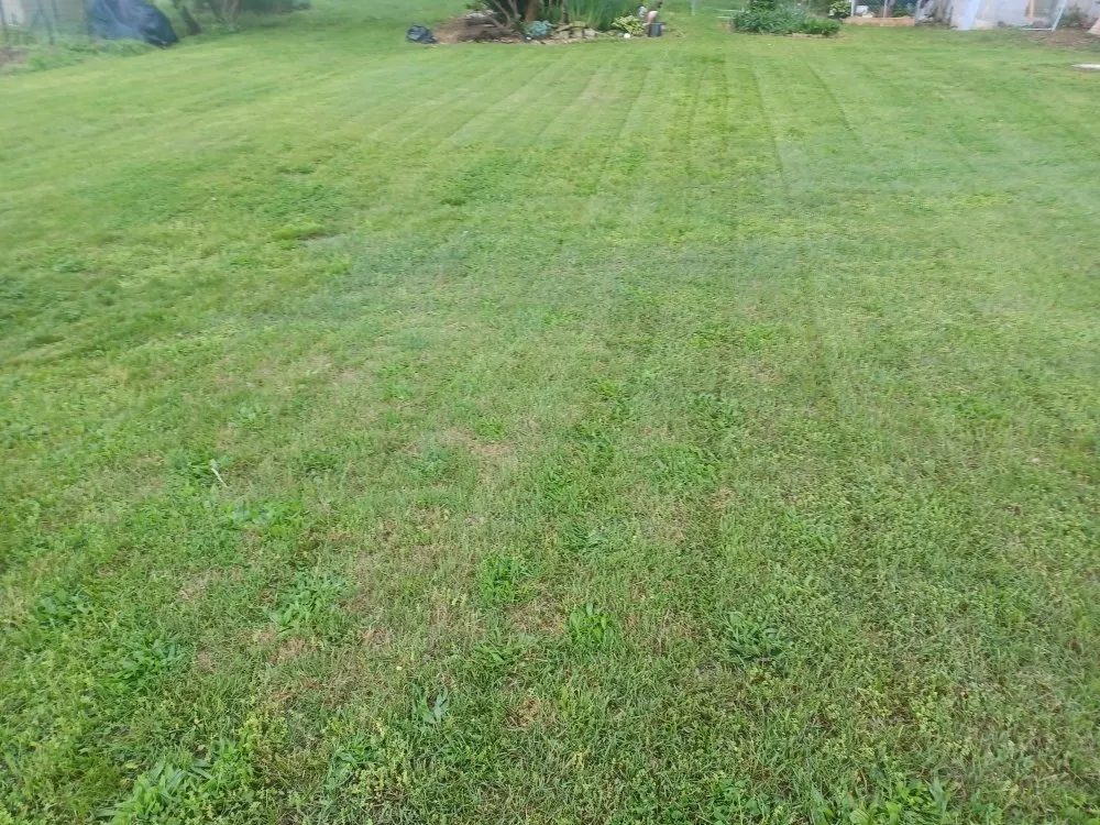 Top-rated landscape installation in Duncannon, PA by Dk Lawn