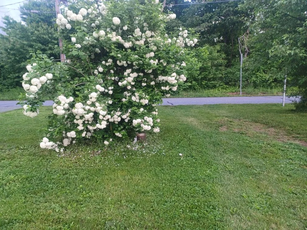 Professional residential landscaping in Duncannon, PA by Dk Lawn