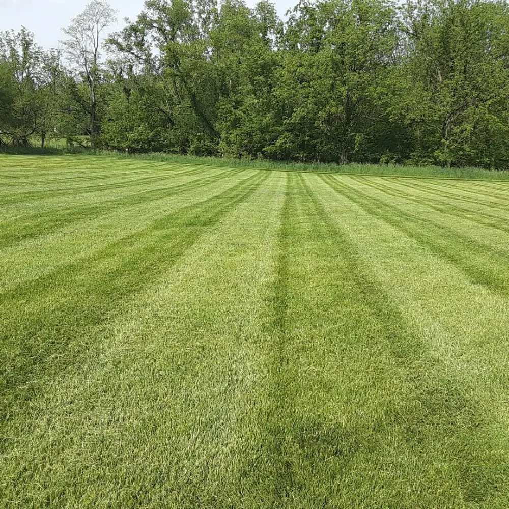 Top-rated lawn mowing service experts serving Lancaster, OH - D&K Lawn Maintenance