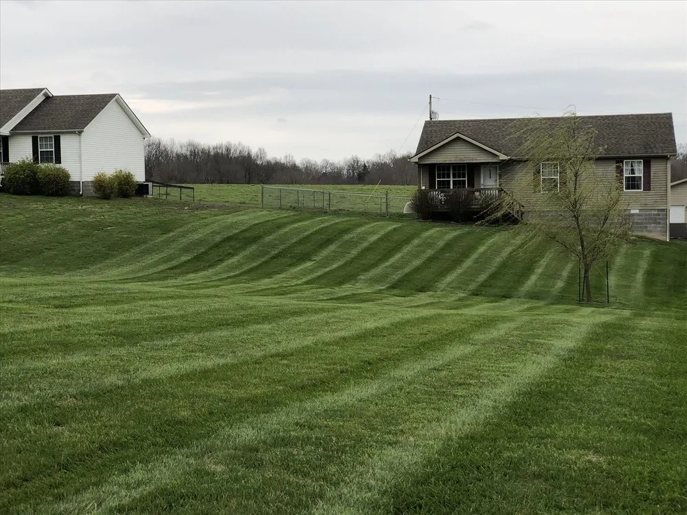 Top-rated yard cleanup service for residential properties in Scottsville, KY by D&K LawnCare