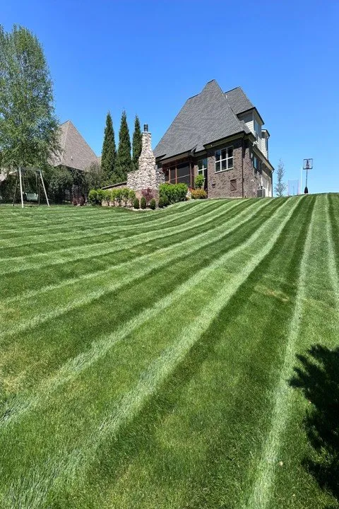Reliable yard maintenance for homes in Scottsville, KY by D&K LawnCare