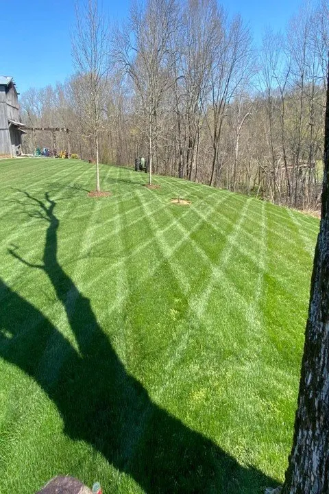 Affordable lawn care service with custom design across Scottsville, KY - D&K LawnCare
