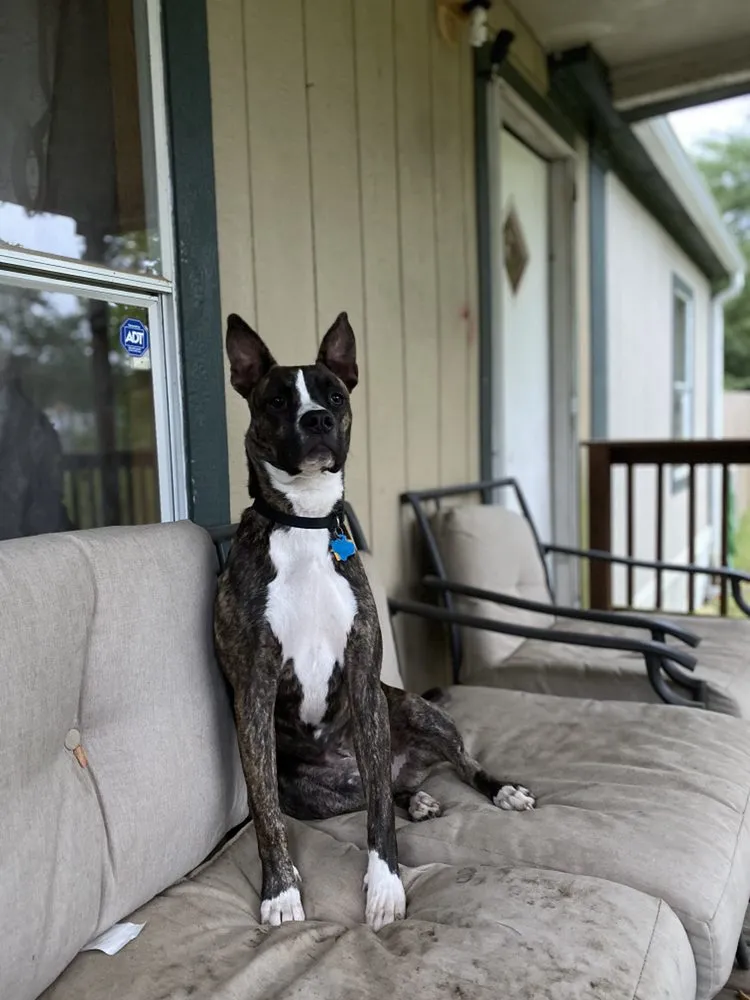 Reliable landscape design in Chandler, TX by DK Lawnservice