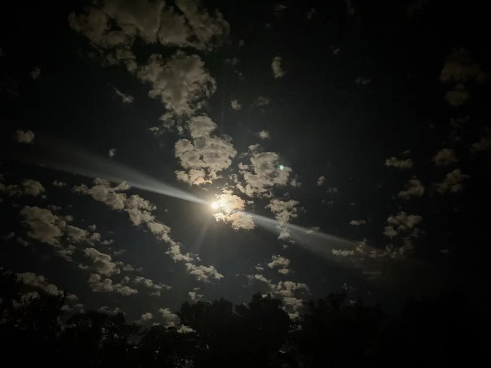 Custom landscape installation for residential properties in Chandler, TX by DK Lawnservice