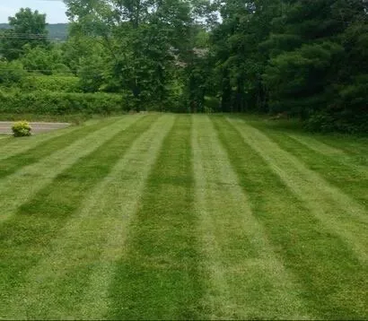 Affordable lawn care service for residential properties across Fort Wayne, IN - DK Mowing Services