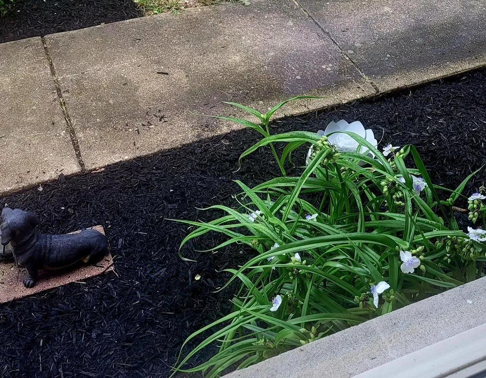 Professional lawn care service for year-round maintenance in Moraine, OH by DK Powerwashing and Landscaping