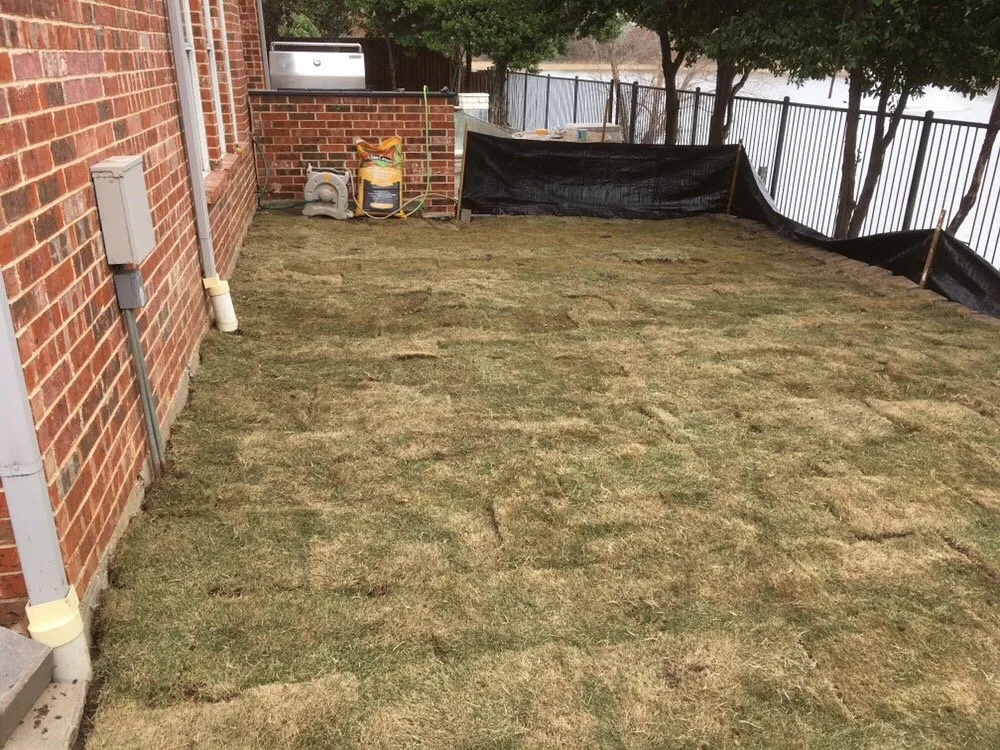 Reliable outdoor landscaping for year-round maintenance across Denison, TX - DK Professional Services