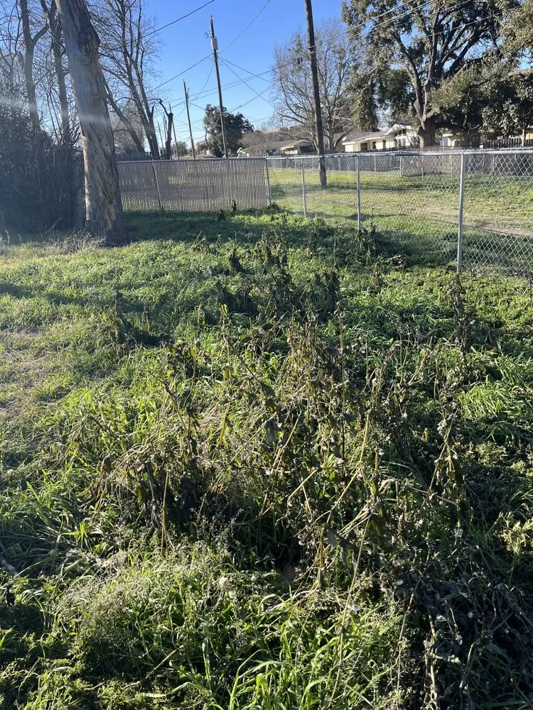 Top-rated garden landscaping in Killeen, TX by DK Ranch Services