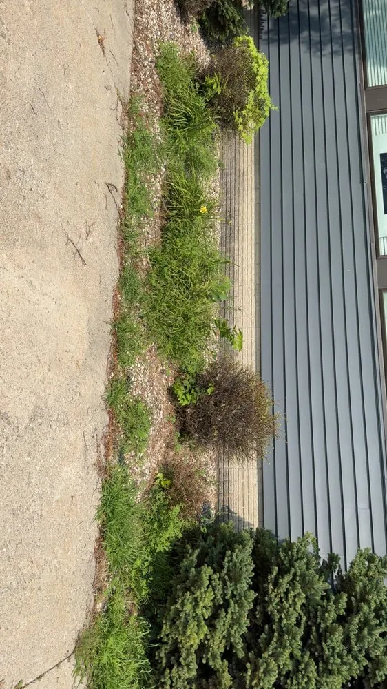 Local landscape design in Mason City, IA by DK Services