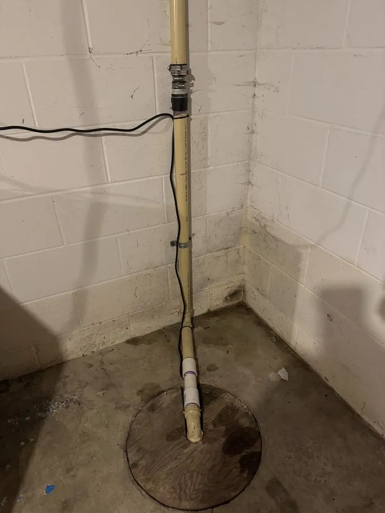 Expert yard cleanup service in Mason City, IA - DK Services