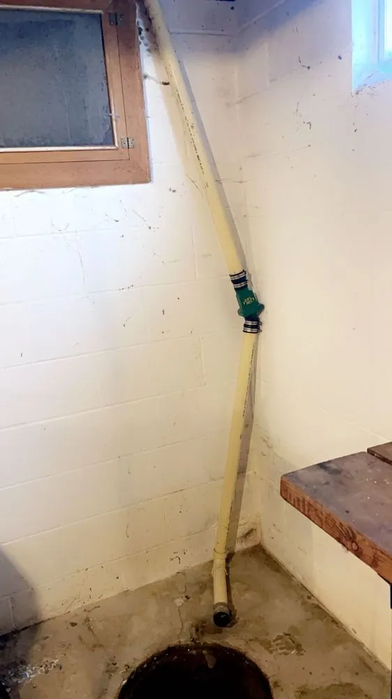 Professional yard cleanup service experts serving Mason City, IA - DK Services