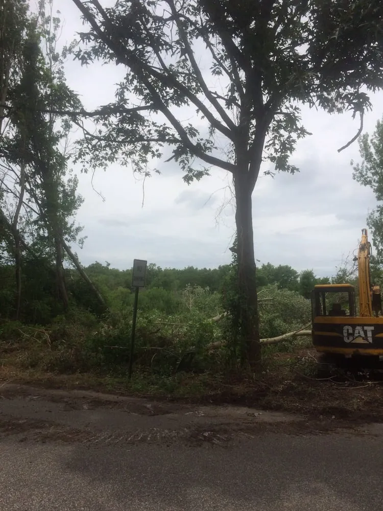 Professional yard cleanup service experts serving Cape May, NJ - Dkc Contractors