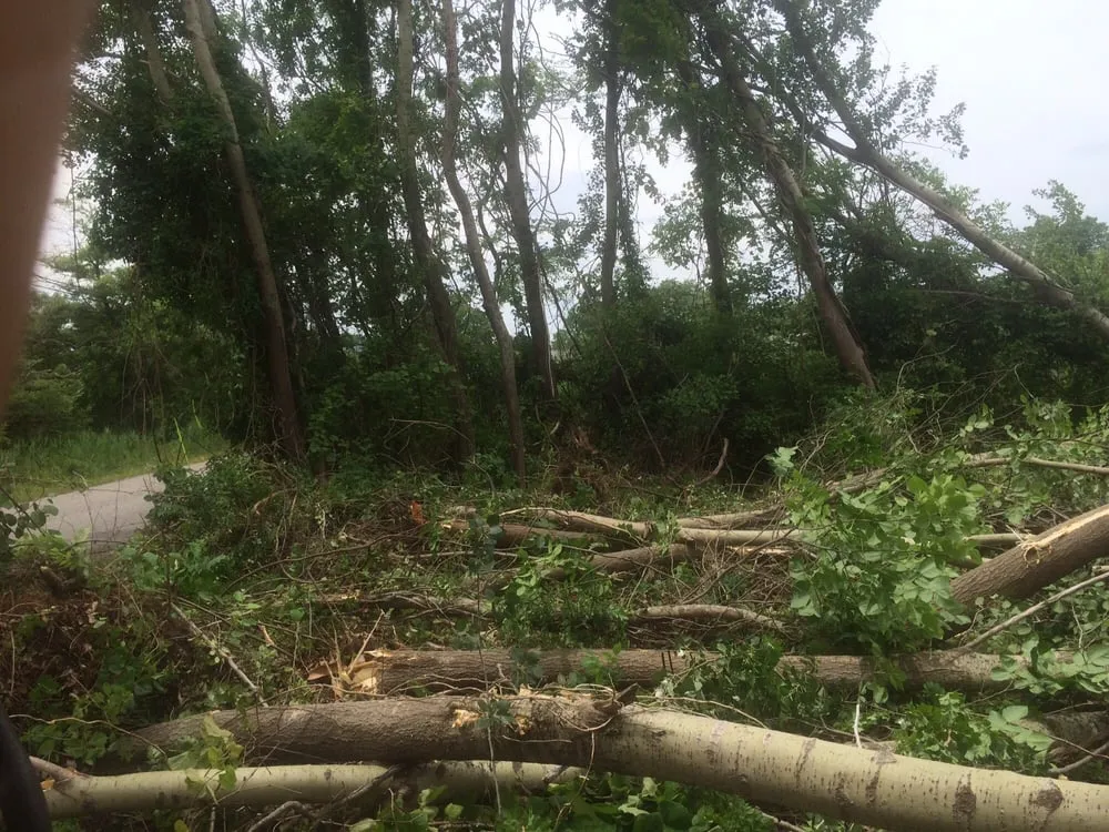 Expert lawn mowing service in Cape May, NJ by Dkc Contractors