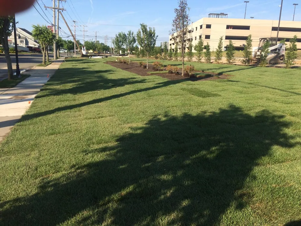 Reliable lawn mowing service in Cape May, NJ by Dkc Contractors