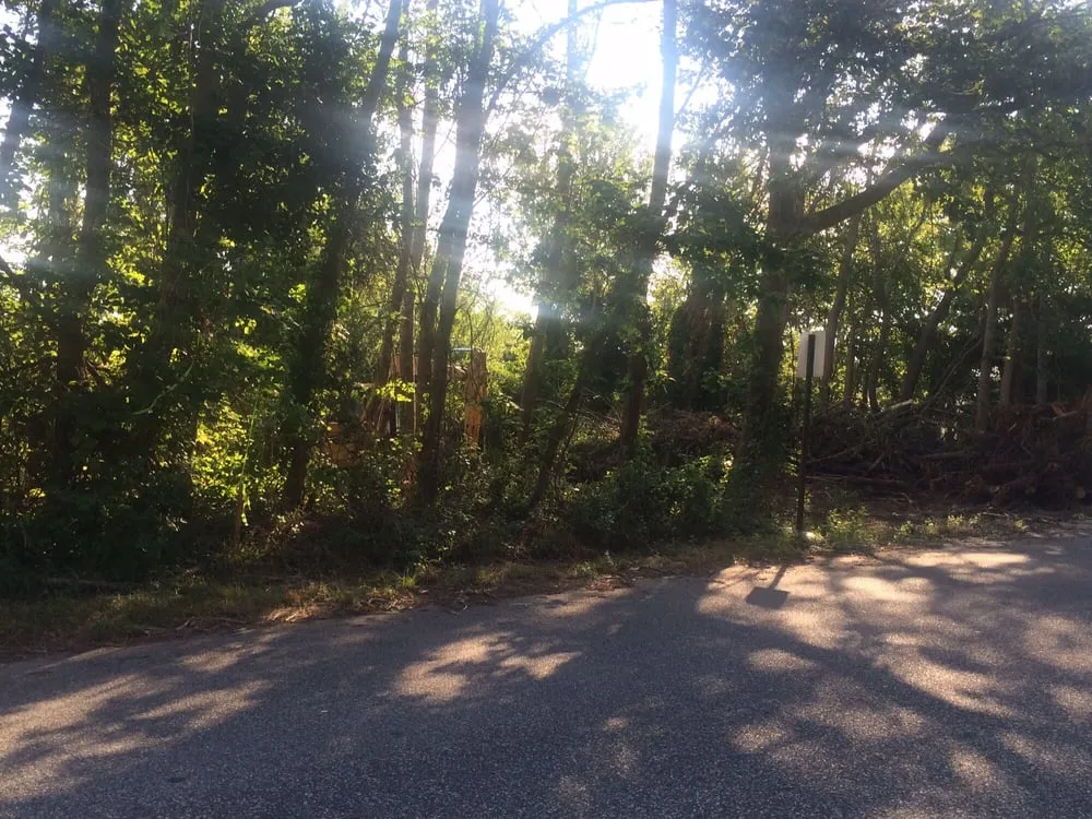 Reliable landscape design for residential properties across Cape May, NJ - Dkc Contractors