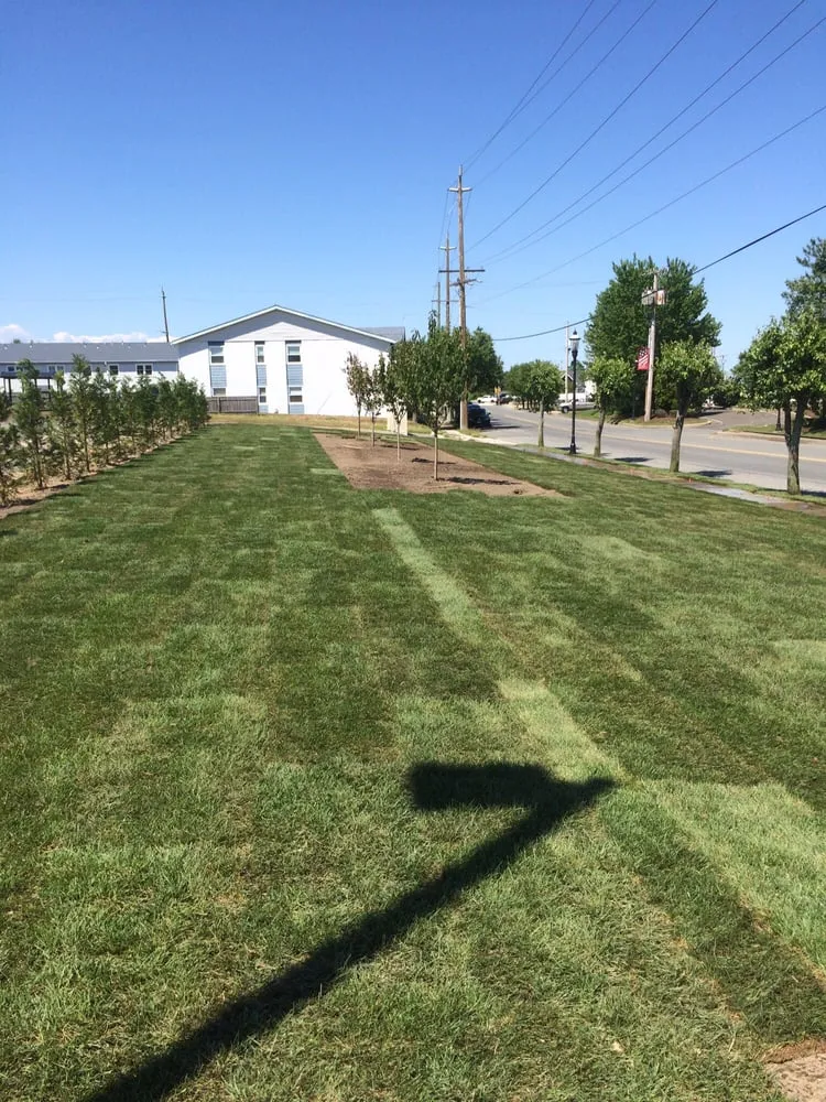 Reliable yard cleanup service experts serving Cape May, NJ - Dkc Contractors