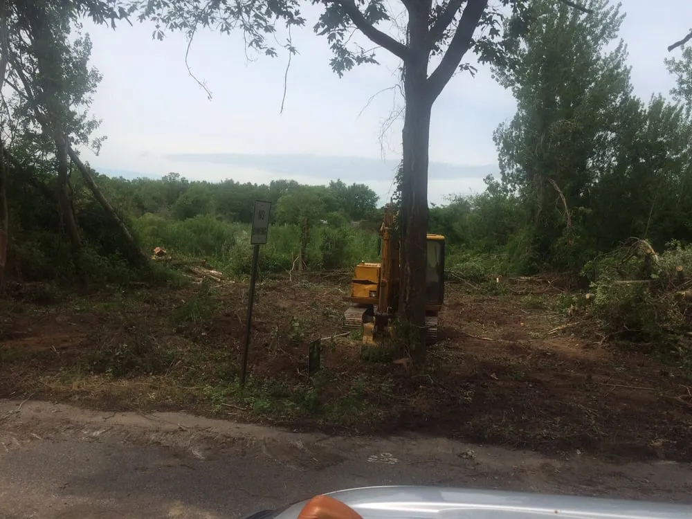 Expert yard cleanup service near you in Cape May, NJ by Dkc Contractors