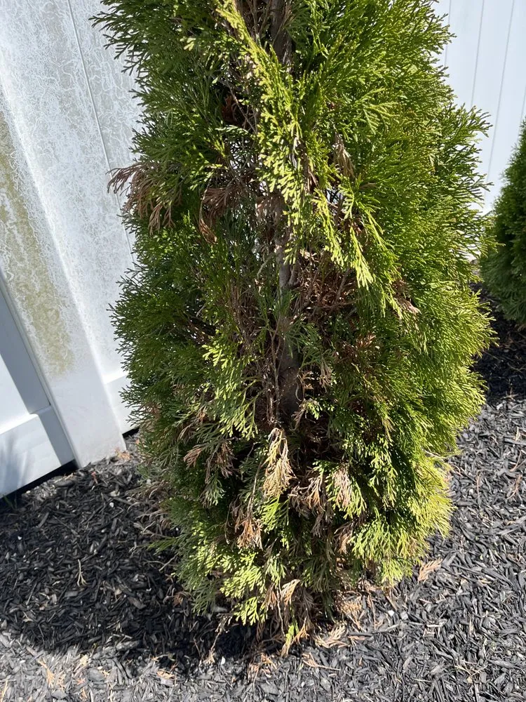 Expert residential landscaping with custom design in Langhorne, PA by DKC Landscaping And Lawn Maintenance