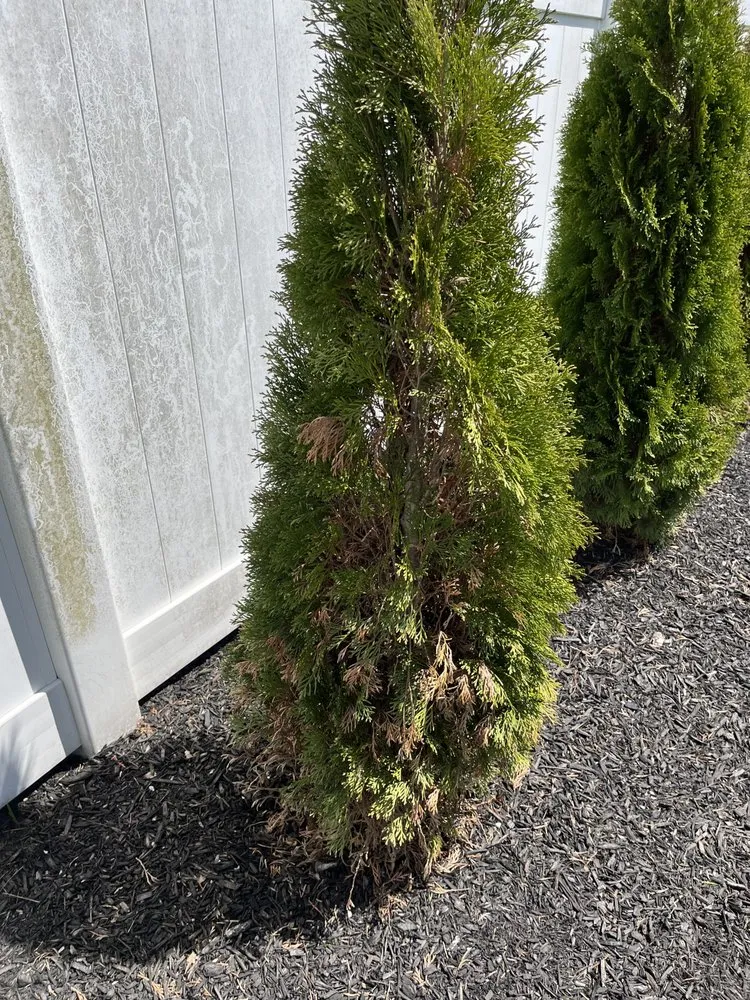 Custom outdoor landscaping in Langhorne, PA - DKC Landscaping And Lawn Maintenance