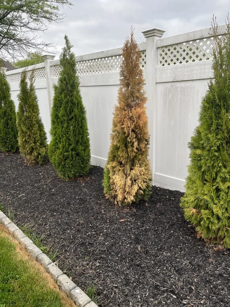 Trusted residential landscaping experts serving Langhorne, PA - DKC Landscaping And Lawn Maintenance