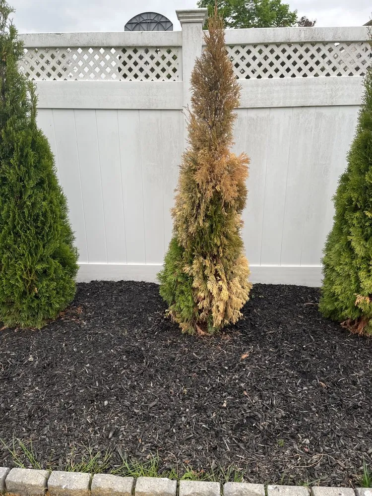 Custom landscaping services with custom design in Langhorne, PA by DKC Landscaping And Lawn Maintenance