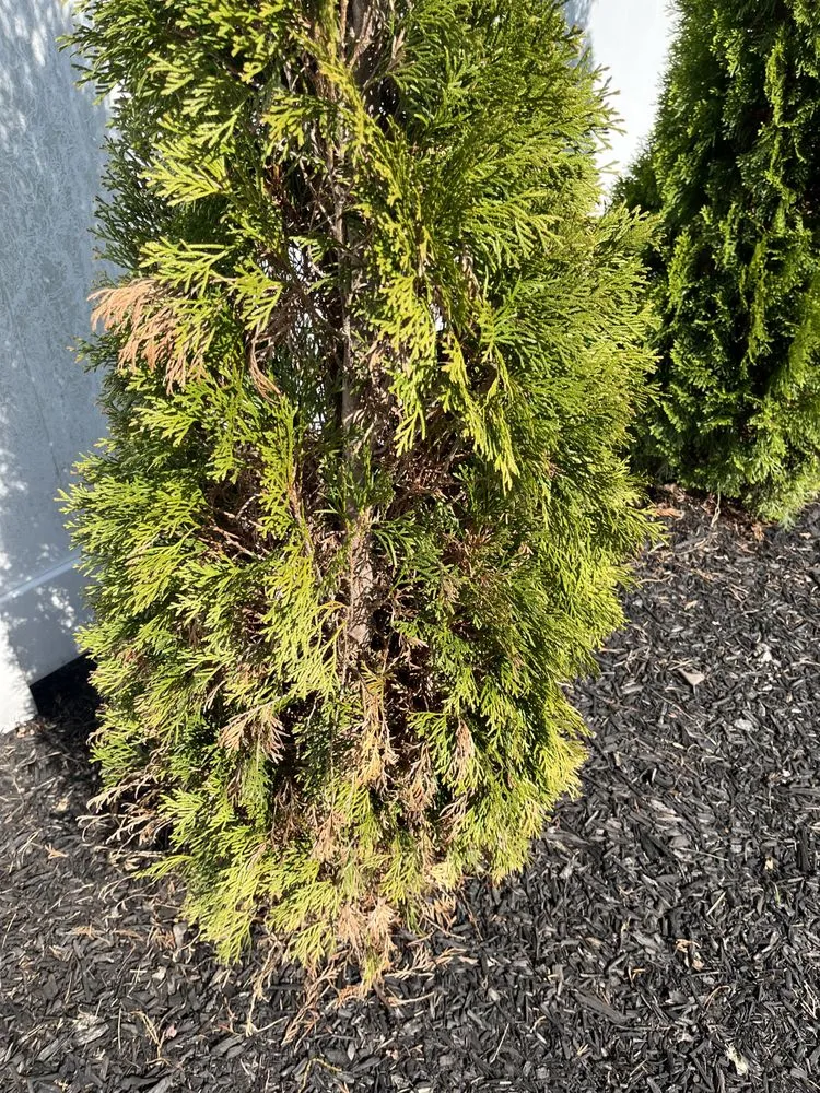 Professional landscape design for beautiful yards across Langhorne, PA - DKC Landscaping And Lawn Maintenance