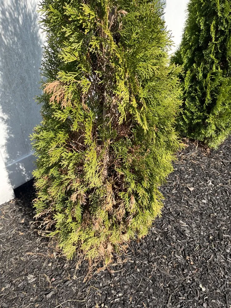 Custom outdoor landscaping in Langhorne, PA by DKC Landscaping And Lawn Maintenance