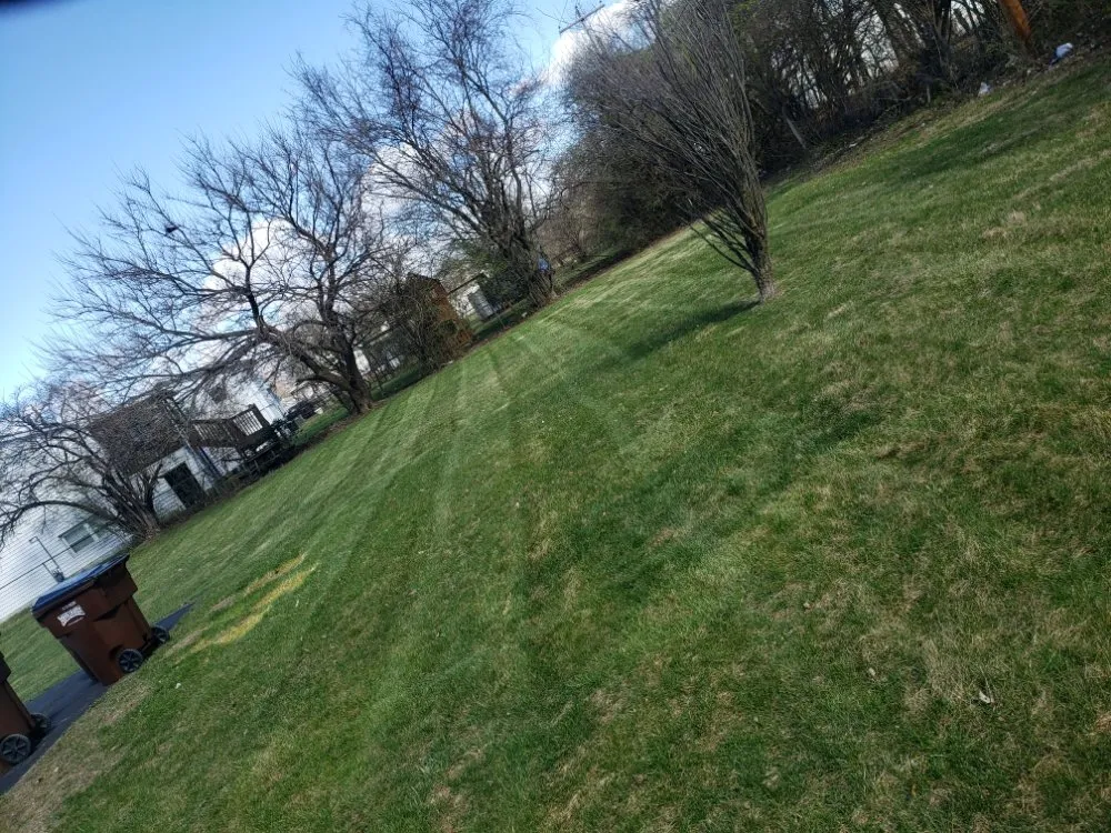 Custom lawn care service in Columbus, OH by DKG Landscaping